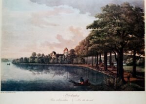 Backaskog | Li0648 | Du Coté du Sud