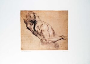 Pedro Pablo Rubens | Li0651 | Study of a male torso