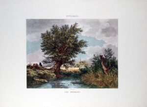 Ruysdaël | Li0663 | Les Roseuaux, Serie Acquaforte