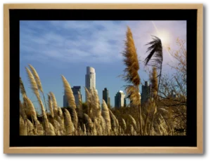 Claudio Sacomano | E CS130CO | Otoño en la reserva