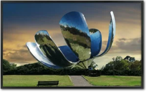 Claudio Sacomano | E CS062CO | Floralis Genérica