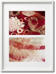 Analia Viola | E ELV015 | Fotos originales