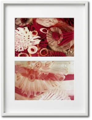 Analia Viola | E ELV015 | Fotos originales