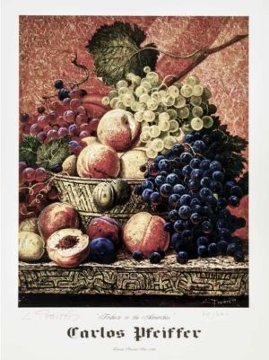 Carlos Pfeiffer | Li1011 | Tribute to the Amerikas (lámina firmada y numerada)