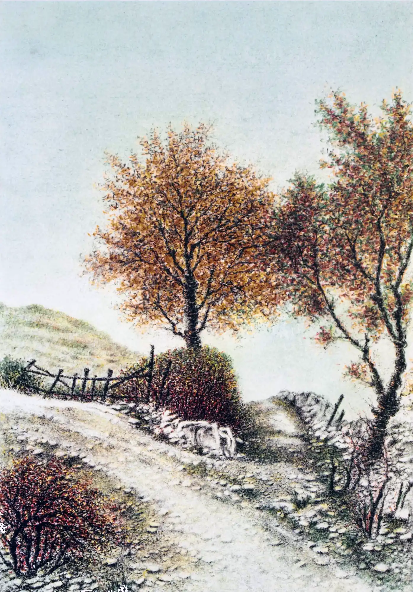 Beirete | Li1027 | Strada di montagna