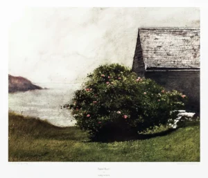 James Wyeth | Li1327 | Island Roses