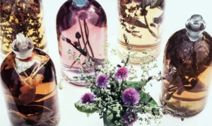 Chris Mad | Li1412 | Jars