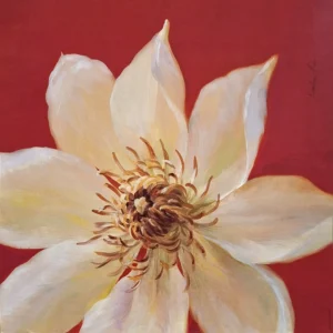 Danhui Nai | Li2007 | Contemporary Clematis