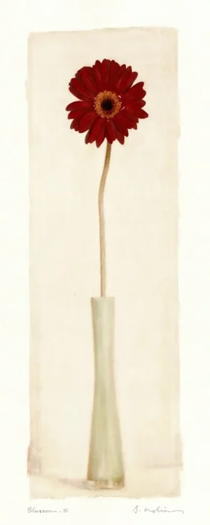 Amy Melious | Li2010 | Blossom II