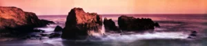 Wayne Williams | Li0040 | Big Sur