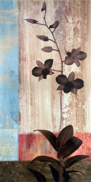 Chris Donovan | Li0691 | Numinous II