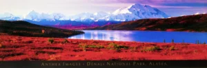 Anthea Images | Li0982 | Denali National Park, Alaska