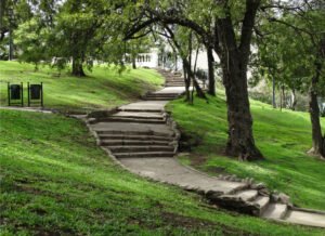 Claudio Sacomano | CS165CO | Subiendo - Parque Lezama