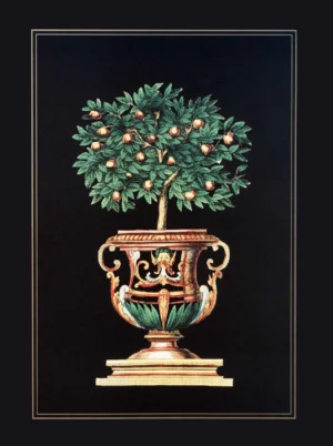 Stephanie Hoppen | Li1479 | Topiary with oranges