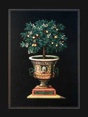 Stephanie Hoppen | Li1480 | Topiary with apples