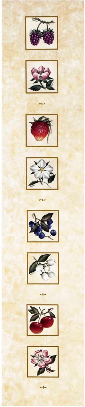 Shumaker Pallan | Li1502 | Four Berries
