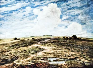 Francisco Lavecchia | Li0243 | Loma Pampeana