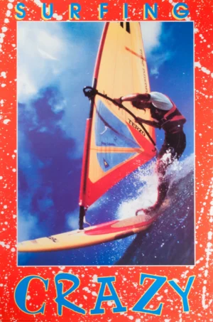 Anónimo | Li350 | Surfing Crazy