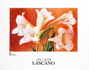 Juan Lezcano | Li0685 | Clara Luz