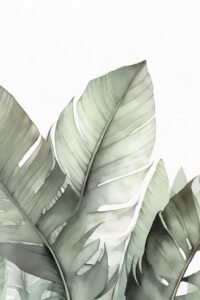 Kathrin Pienaar | MA.AFN-30 | Blush Banana Leaves I