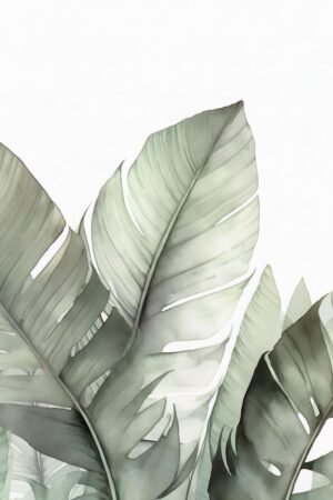 Kathrin Pienaar | MA.AFN-30 | Blush Banana Leaves I