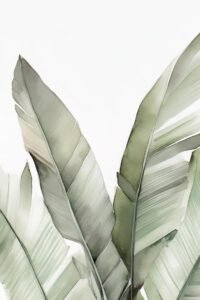 Kathrin Pienaar | MA.AFN-32 | Blush Banana Leaves III