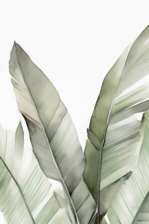 Kathrin Pienaar | MA.AFN-32 | Blush Banana Leaves III