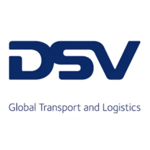 log_DSV