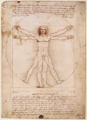 Leonardo da Vinci's | ELDV002 | Vitruvian Man