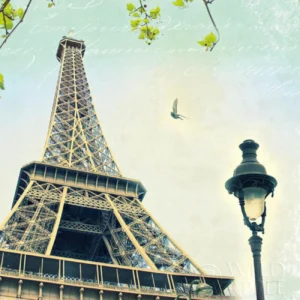 Wild Apple Portfolio | M16157 | Torre Eiffel Vintage - París Romántico