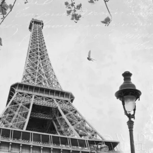 Wild Apple Portfolio | M16157BW | Torre Eiffel Vintage - París Romántico (B&W)