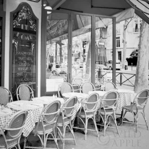 Laura Marshall | M21919BW | Café le Dôme (BW)