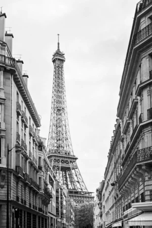 Laura Marshall | M25887 | Eiffel Glimpse