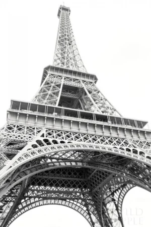 Laura Marshall | M25888 | Eiffel up Close